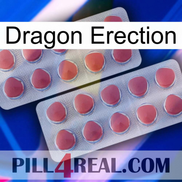 Dragon Erection 19.jpg